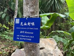 -中国科学院西双版纳热带植物园
