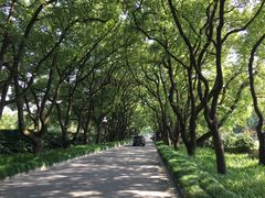 -西郊宾馆·1921餐厅