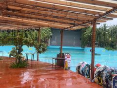 -亚马逊丛林水乐园