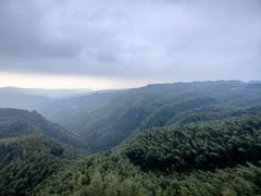 -蜀南竹海景区