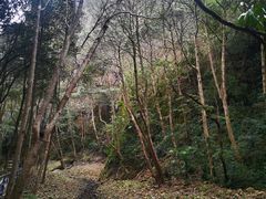 -五泄景区