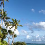 鲁滨逊努努岛