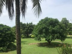 -三亚珠江南田温泉度假区