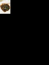 -梅龙镇酒家·宴会厅(南京西路总店)