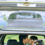 几束小雏菊就能拍出🌻日系电影感婚纱照