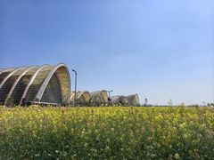 -中国天府农业博览园