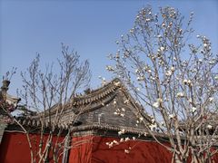 -西海子公园
