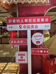 -中国黄金(北京旗舰店)