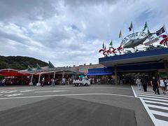 -南纪白浜Toretore市场