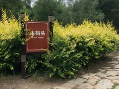 -西青郊野公园