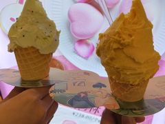-野人先生现做冰淇淋(北京环宇荟店)