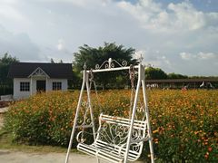 -广东花都香草世界旅游度假区