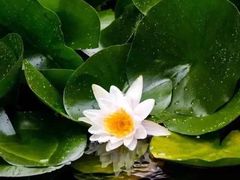 -好利来(桂林路店)