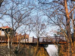 -南京市无想山景区