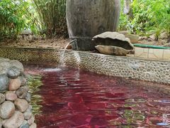 -三亚珠江南田温泉度假区