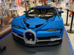 -张关合渣(航空大道店)