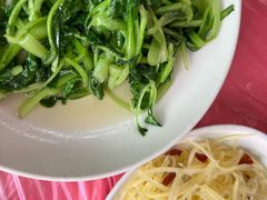 -东平国家森林公园