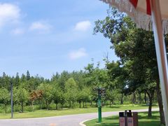 -江苏三台山国家森林公园