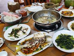 -力哥地道海南菜·联谊文昌鸡老店