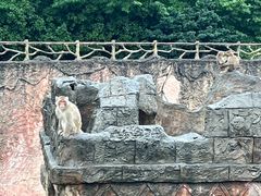 -南昌动物园