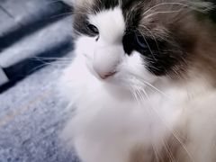 -零纪元VR体验馆·桌游(黄浦店)