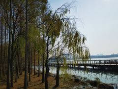 -蠡湖大桥公园