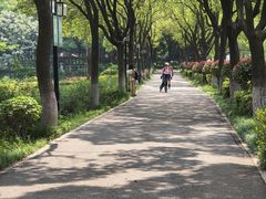 -金银湖国家城市湿地公园