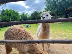 -泉州海丝野生动物世界
