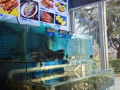 -美达尔烧烤(银川东路店)