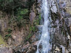 -姑婆山旅游区