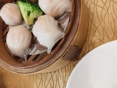 -澳门西南饭店·粤菜·茶市·手工点心(华海路店)