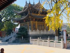 -上海东林寺(金山区)