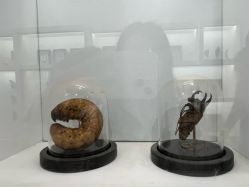 -酷嗒动物文化乐园(cutezoo西溪乐天城店)