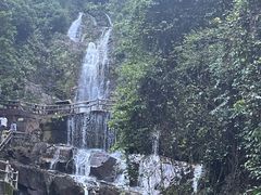 -鼎湖山风景区