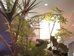 -芸山季·云南山珍菌火锅(南翔印象城MEGA店)