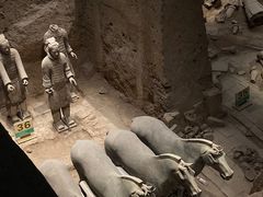 -秦始皇帝陵博物院(兵马俑)