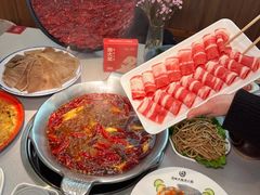 -渝大龙重庆火锅(温泉月亮湾店)