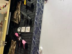 -JOJO实景沉浸侦探剧本杀(大悦城店)