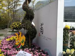-南山植物园