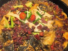 -老板恋上鱼(恒隆广场店)