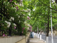 -青岛第三海水浴场