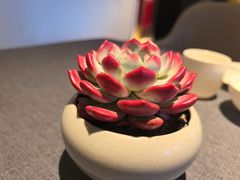 -喜湘宴·精致湖南菜(和平西桥店)