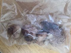 -美联众合动物医院·24h转诊中心