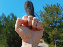 -磬锤峰森林公园