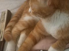 -金豆角砂锅焖面(安贞店)