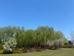 -大望京公园