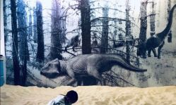 -恐龙探索乐园(磁器口店)