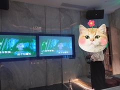 -堂会·KTV·自助餐·团建聚会(天河店)