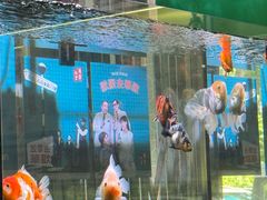 -華歡冰室-WahFoon(吉大店)