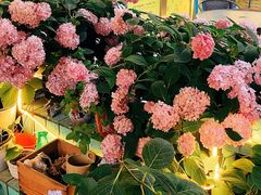 -84那年咖啡馆(李沧万达店)
